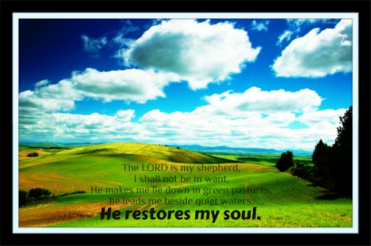 Mormon Bible Quote Mormon Bible Quote